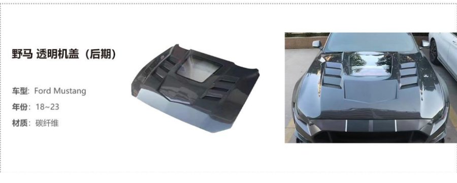 Ford Mustang Clear (Later) Hood