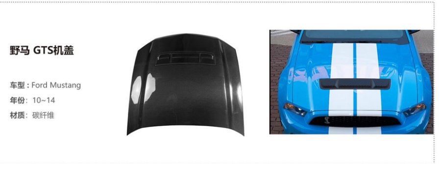 Ford Mustang GTS Hood