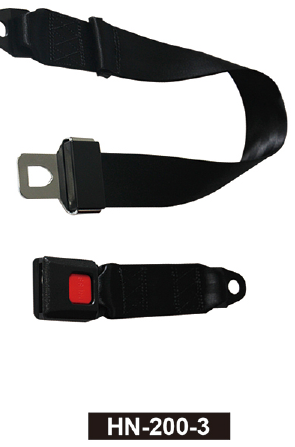 HAZNA 2 POINT SAFETY BELT HN-200-4