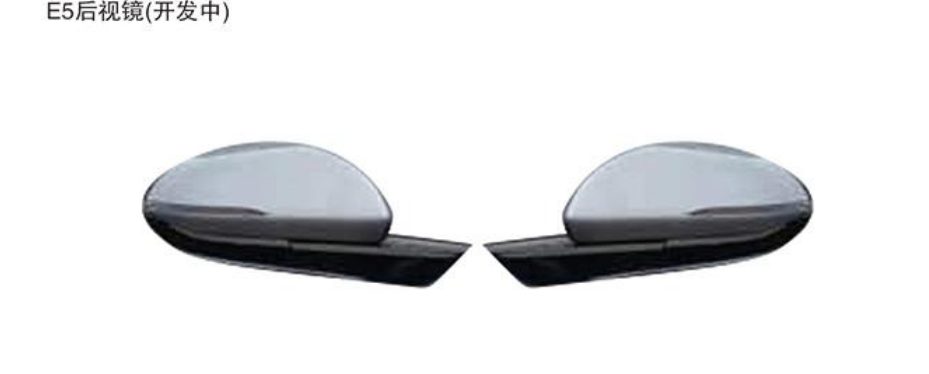 Rearview Mirror E5