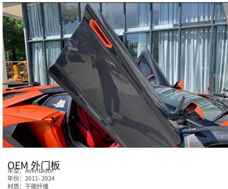 Lamborghini Aventador OEM Outer Door Panel